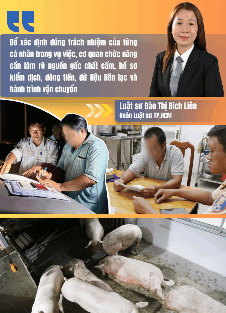 Những người giữ an toàn cho bữa ăn của 14 triệu dân TP.HCM - Kỳ 4: Sau vụ 35 tấn heo nhiễm chất cấm, làm gì để không còn chuyến xe vi phạm lọt cửa?